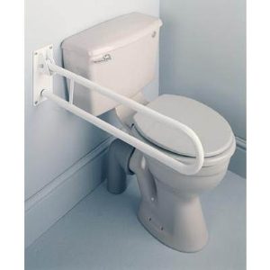 Fold Away Toilet Rail