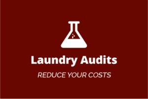 Laundry Audit -100