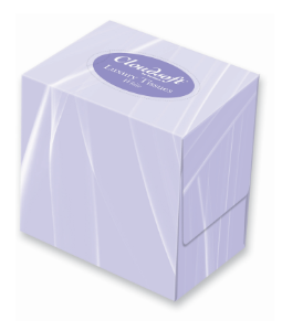 Cloudsoft Cube Facial Tissues 2 ply White - 24 x70 tissues - A30.21250